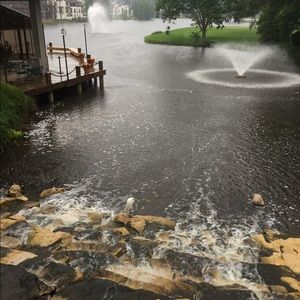 Meet your Posher, Carl